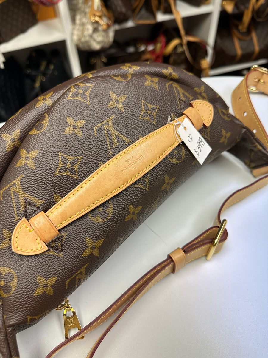 Louis Vuitton Bumbag