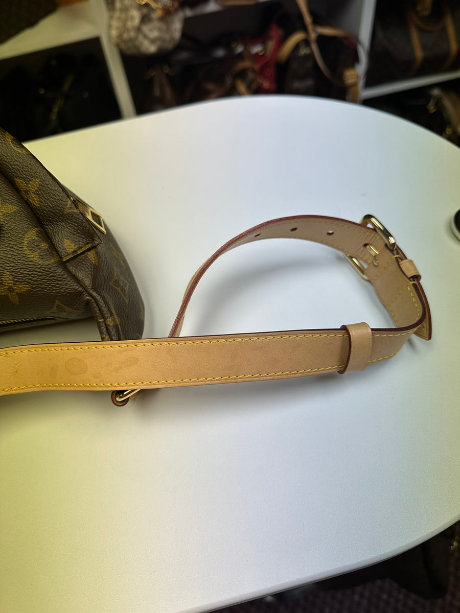 Louis Vuitton Bumbag