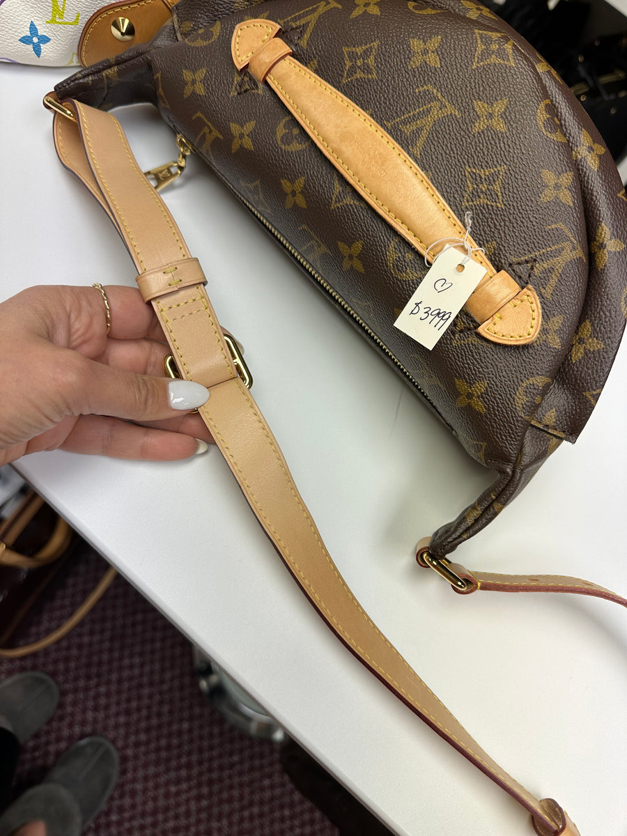 Louis Vuitton Bumbag