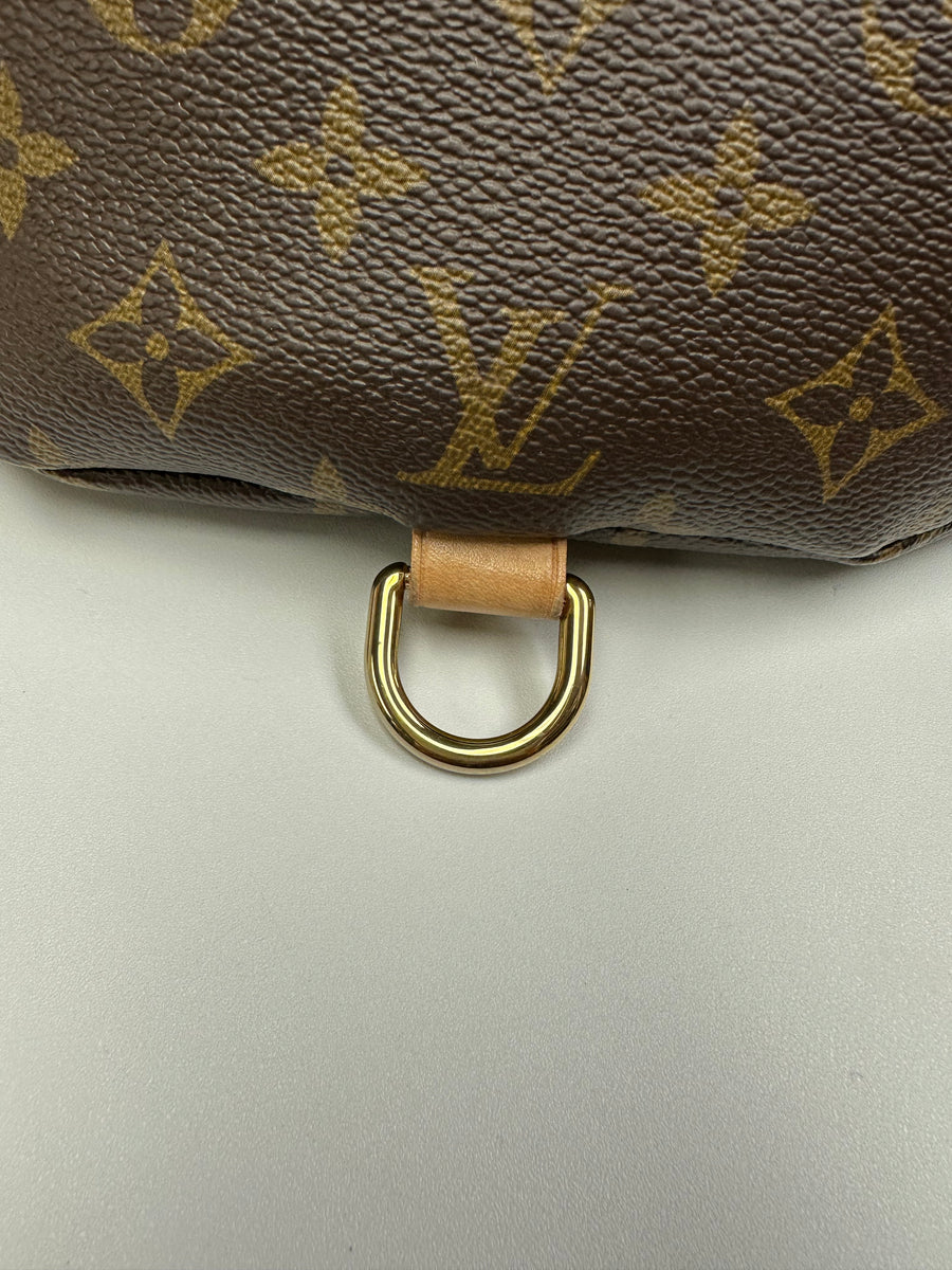 Louis Vuitton Bumbag